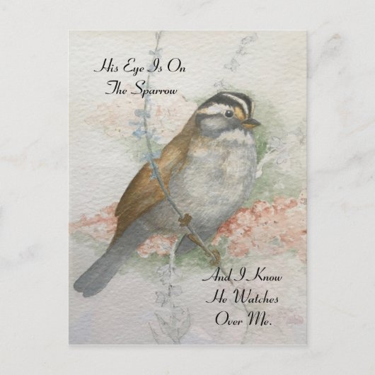 Watchful Song Sparrow Bible Quote Watercolor Postkarte (Vorderseite)