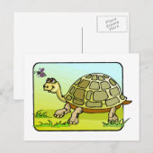 Watchful Turtle Postkarte (Vorne/Hinten)