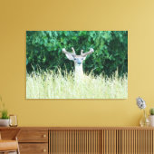 Watchful Whitetail Deer (Sommer) Canvas Print Leinwanddruck (Insitu (Wohnzimmer))
