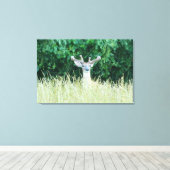Watchful Whitetail Deer (Sommer) Canvas Print Leinwanddruck (Insitu (Holzboden))