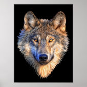 Watchful Wolf Poster (Vorne)