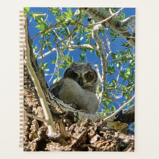 Watching You Planner Planer (Vorderseite)