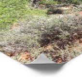 Watchman Zion National Park Poster (Ecke)