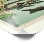 Water Baby Alligator Joe Fotodruck (Ecke)