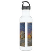 Water Bottle – Roaring Sunset Lion Edelstahlflasche (Rückseite)