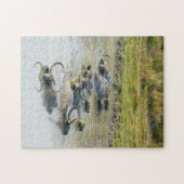 Water Buffalo Kaziranga Nationalpark. Puzzle (Horizontal)