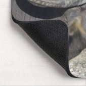 Water Buffalo Mousepad (Ecke)