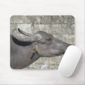 Water Buffalo Mousepad (Mit Mouse)