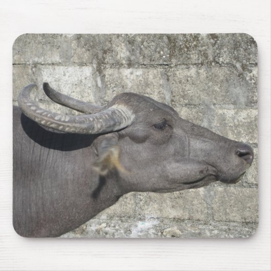 Water Buffalo Mousepad (Vorne)