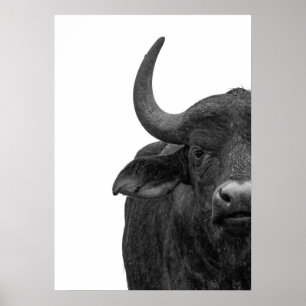 Water Buffalo Schwarz-weißes modernes Poster