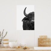 Water Buffalo Schwarz-weißes modernes Poster (Küche)