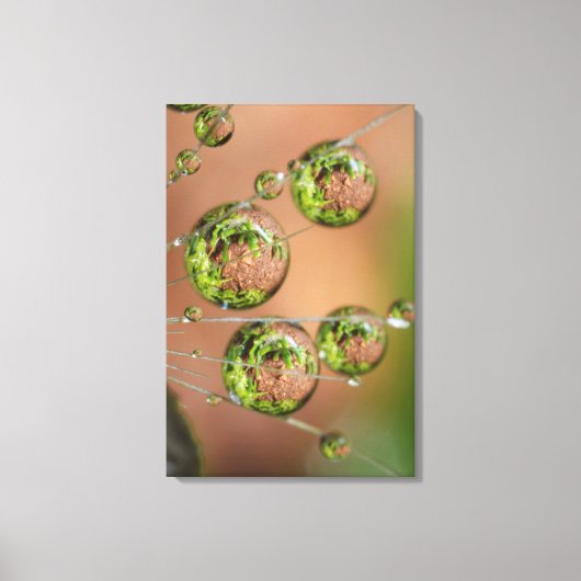 Water Droplet Reflektion Leinwanddruck (Vorderseite)
