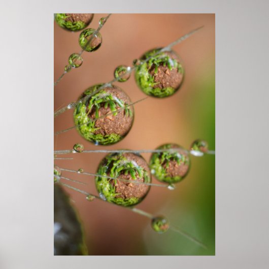 Water Droplet Reflektion Poster (Vorne)