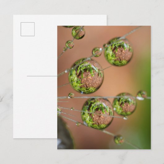 Water Droplet Reflektion Postkarte (Vorne/Hinten)