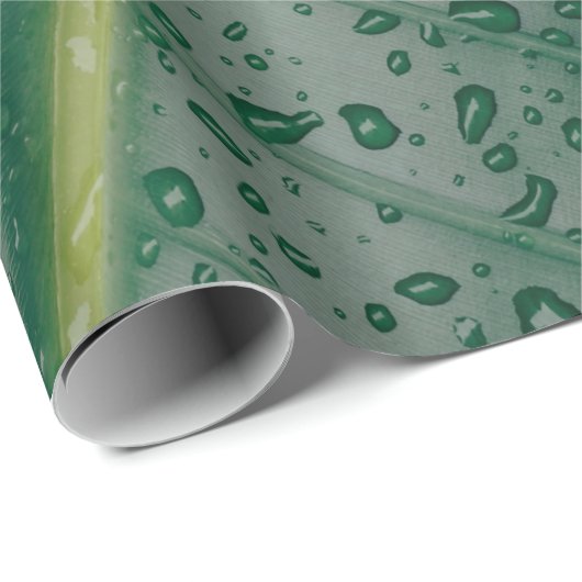Water droplets on banana leaf geschenkpapier (Rolleneckpunkt)