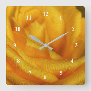 Water Droplets on Elegant Yellow Rose Quadratische Wanduhr
