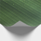 Water droplets on green leaf geschenkpapier (Ecke)