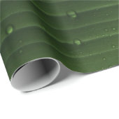 Water droplets on green leaf geschenkpapier (Rolleneckpunkt)