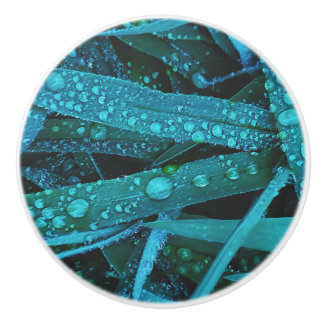 Water Drops Along the Grass Keramikknauf