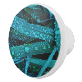 Water Drops Along the Grass Keramikknauf (Rechts)