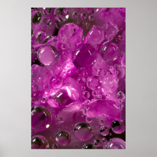 Water drops on flower, California Poster