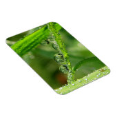 Water Drops on Green Grass Lush, Peaceful, Nature Magnet (Rechte Seite)