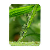 Water Drops on Green Grass Lush, Peaceful, Nature Magnet (Vertikal)