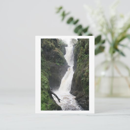 Water Falls Fast Postkarte (Stehend Vorderseite)