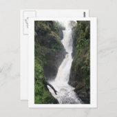 Water Falls Fast Postkarte (Vorne/Hinten)
