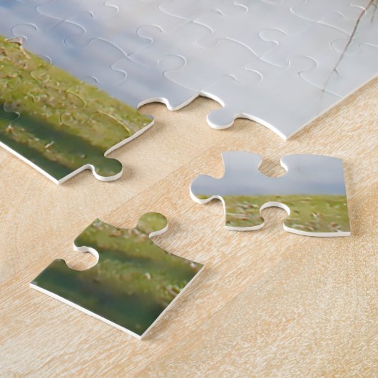 Water Feature Central Park New York Puzzle (Seite)