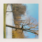 Water Feature Central Park New York Puzzle (Horizontal)