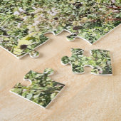 Water Feature Central Park New York Puzzle (Seite)