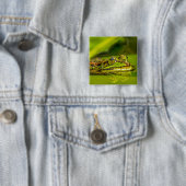 water frog button (Beispiel)