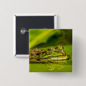 water frog button (Vorne & Hinten)