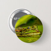 water frog button (Vorne & Hinten)