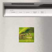 water frog magnet (In Situ (Geschirrspüler))