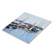 Water Front Put-In-Bay OH c1904 Fliese (Seite)