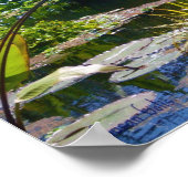 Water Garden Foto Plakatwerbung Poster (Ecke)