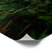 Water | Kraft Azalea Park Maitland Florida Poster (Ecke)