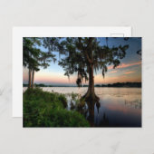 Water | Kraft Azalea Park Maitland Florida Postkarte (Vorne/Hinten)