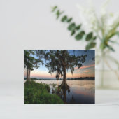 Water | Kraft Azalea Park Maitland Florida Postkarte (Stehend Vorderseite)