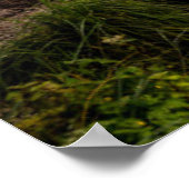 Water | Lake Hintersee Berchtesgaden Germany Poster (Ecke)