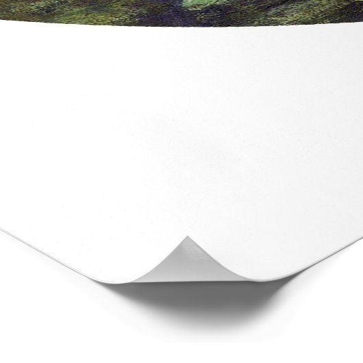 Water-Lilies, 1908 Poster (Ecke)