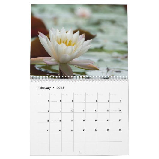 Water Lilies 2025 Kalender (Feb 2026)