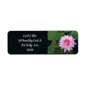 Water Lilies Address Labels (Vorne)