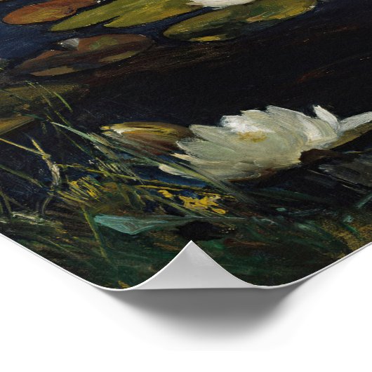 Water Lilies | Albert Edelfelt Poster (Ecke)