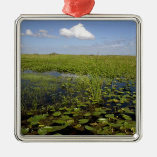 Water lilies and sawgrass in Florida everglades Ornament Aus Metall