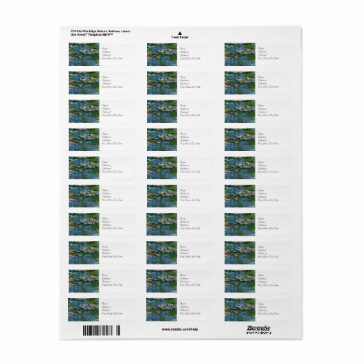 Water Lilies by Monet (Vorne)