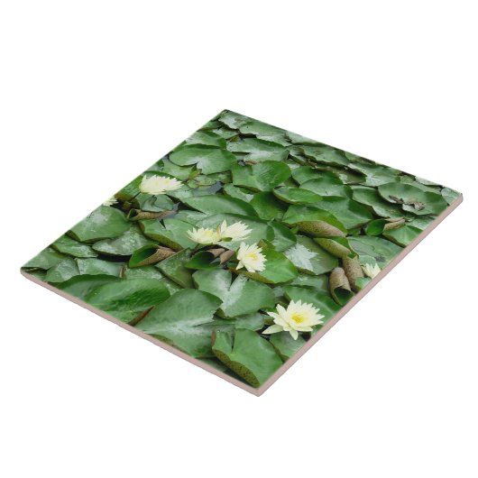 Water Lilies Fliese (Seite)
