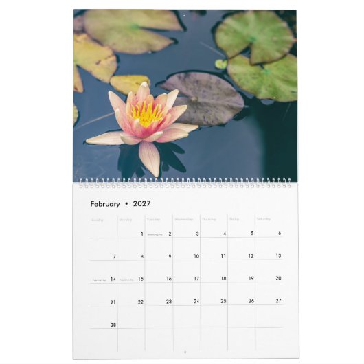 Water Lilies  Kalender (Feb 2027)
